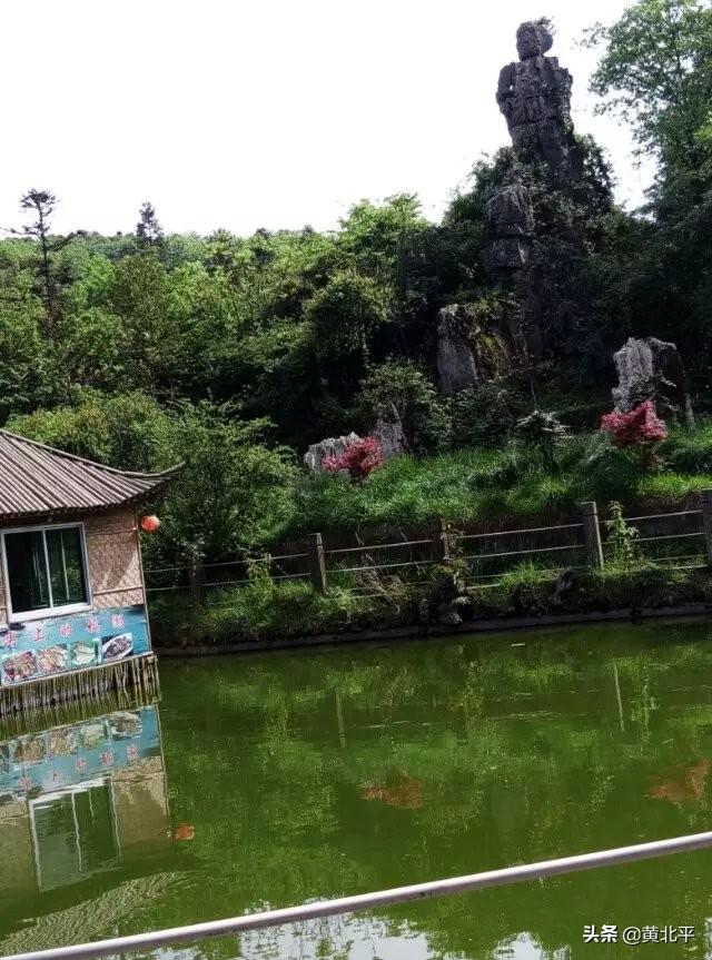 华蓥在哪里(华蓥山在渝北还是广安)-第5张图片 华蓥在哪里(华蓥山在渝北还是广安)-第5张图片
