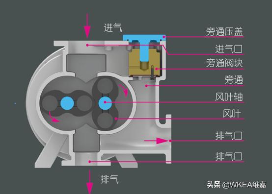 真空泵工作原理及作用（真空泵是利用什么原理工作的）-第6张图片