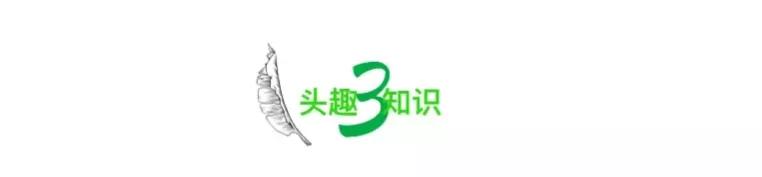 又一唐山男子犯下命案,撕下了当下一类人的病态内幕-第10张图片 又一唐山男子犯下命案,撕下了当下一类人的病态内幕-第10张图片