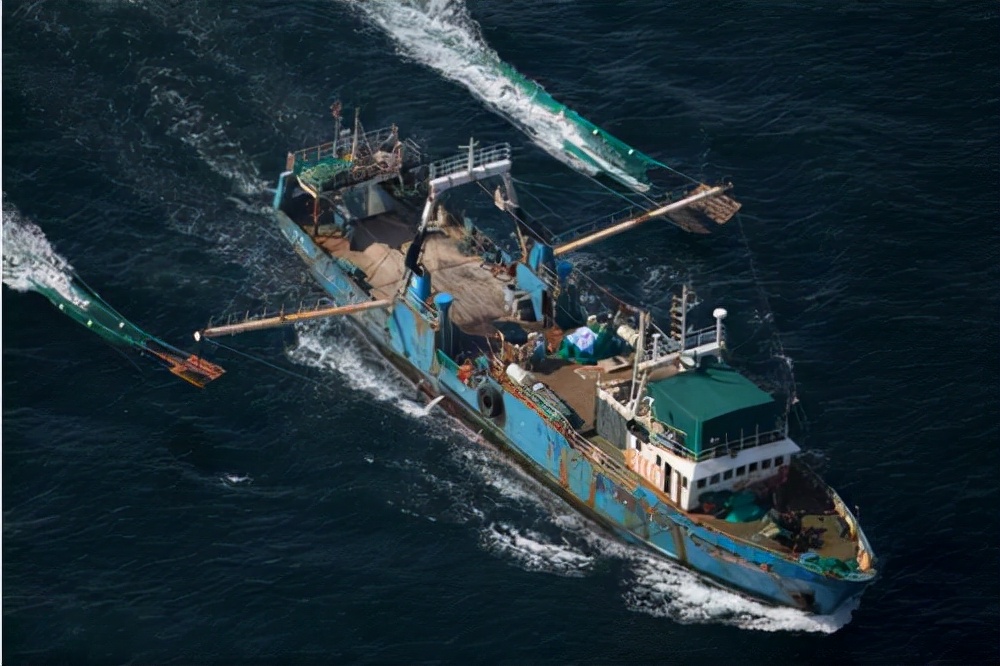 引导韩国总统亲自辩护：残忍血腥的中韩渔船震惊了两国的屠杀-第14张图片