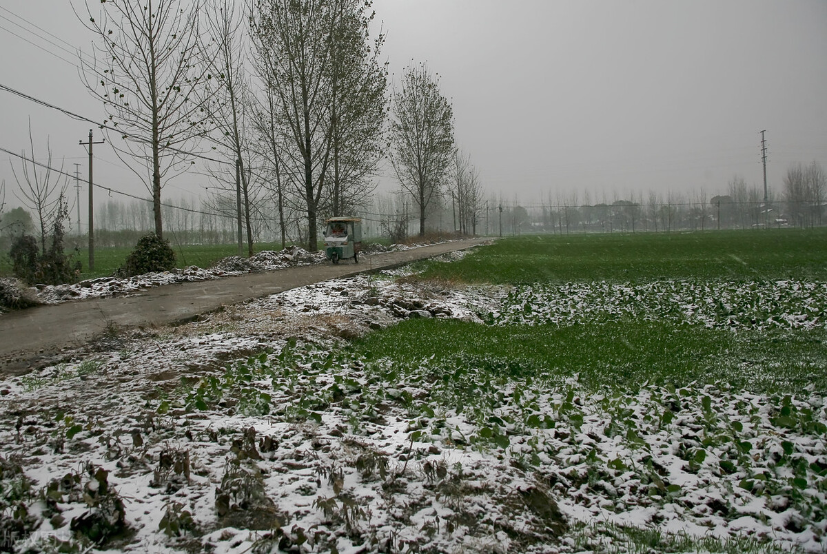 下雪打雷是什么征兆(“雷打雪，人吃铁，正月雷声发，大旱一百八”雷打雪什么预兆)-第3张图片