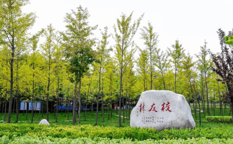 江苏省大学排名一览表-第8张图片