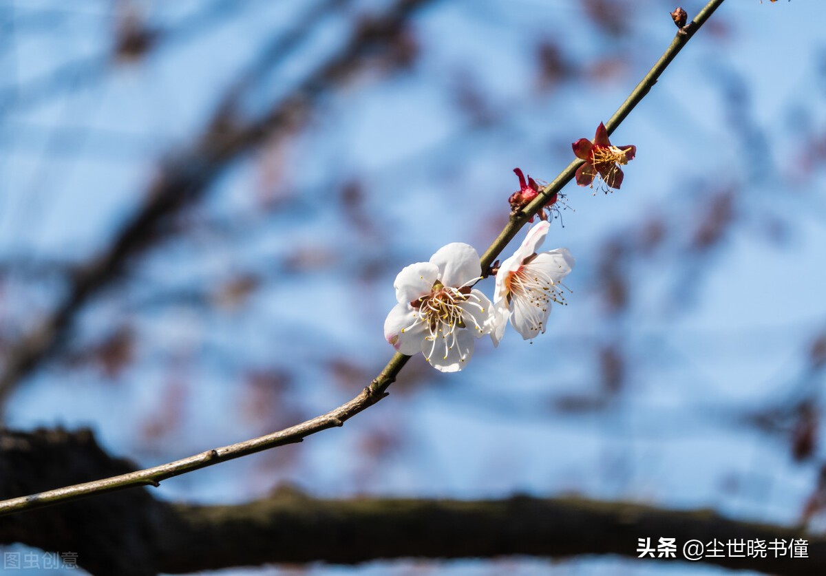 欧阳修是婉约派还是豪放派（欧阳修的婉约派代表作品赏析）-第3张图片