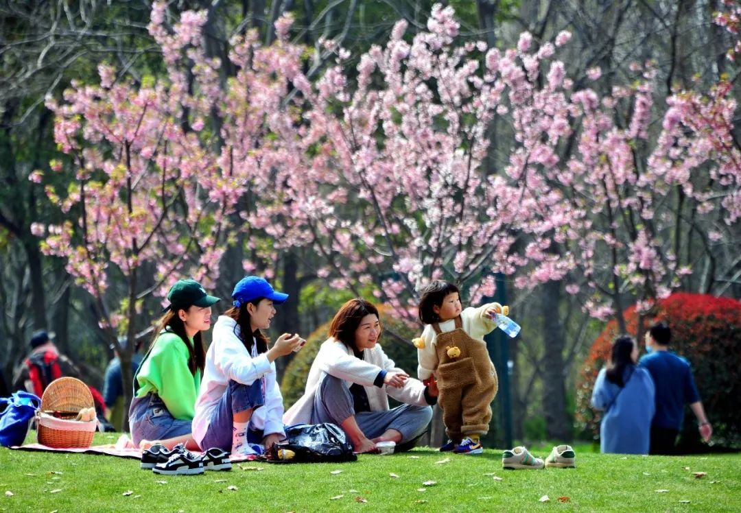 踏青是指什么意思（春天外出踏青是什么节日的风俗）-第3张图片