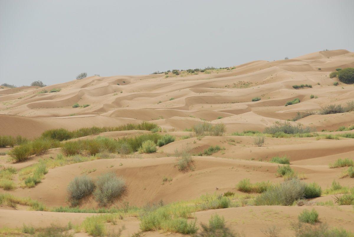 撒哈拉沙漠属于哪个国家(撒哈拉沙漠现在属于哪个国家)-第4张图片