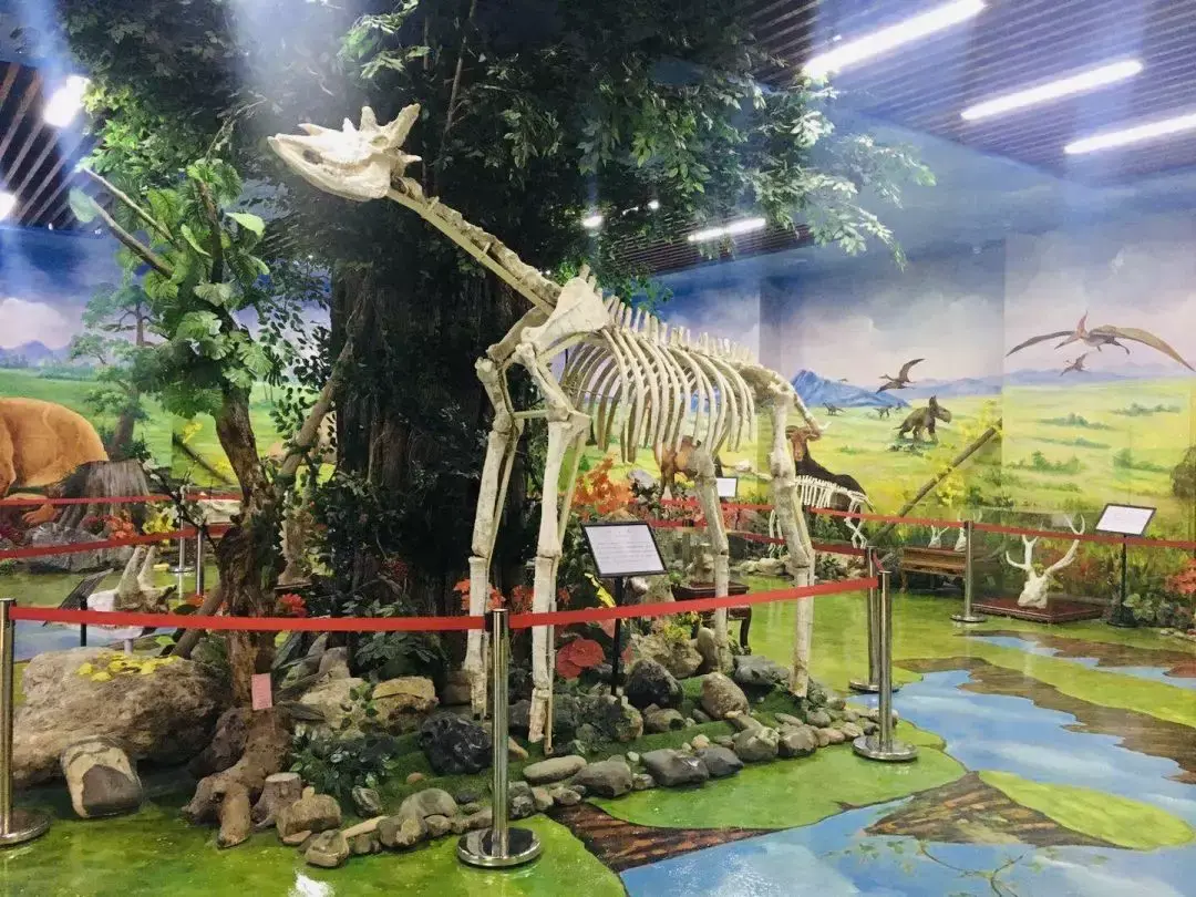 定西旅游必游景点有哪些(定西旅游景点介绍)-第4张图片 定西旅游必游景点有哪些(定西旅游景点介绍)-第4张图片