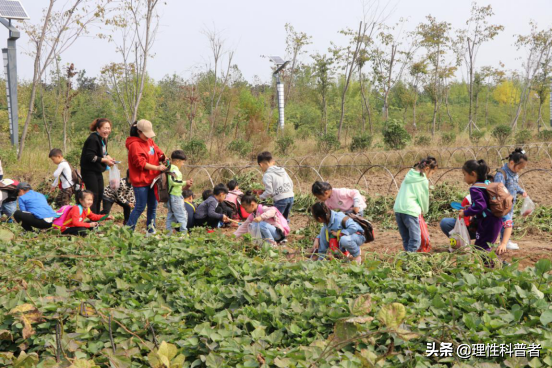 实践一下是什么意思，小学生实践活动有哪些-第2张图片