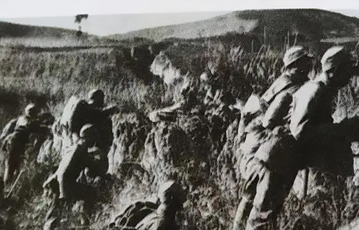 林彪派兵包围叛军184师，命令异常严厉：全部消灭，不准他们起义-第4张图片