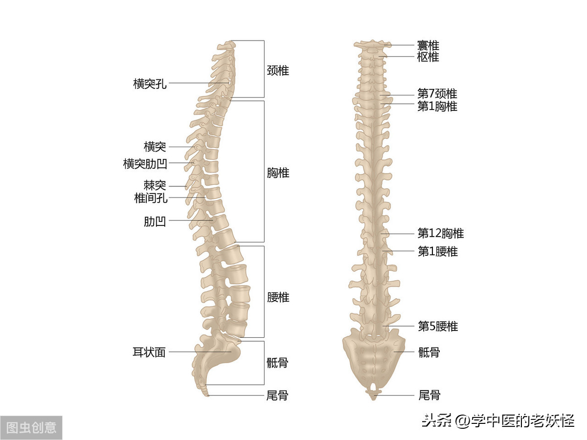 人是睡枕头好还是不睡好（人如何枕枕头才算正确 ）-第2张图片