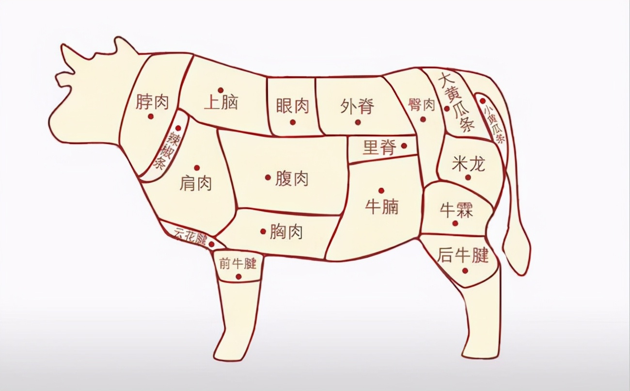 牛肉哪个地方的肉最嫩最好吃（牛肉什么位置的肉最香）-第1张图片