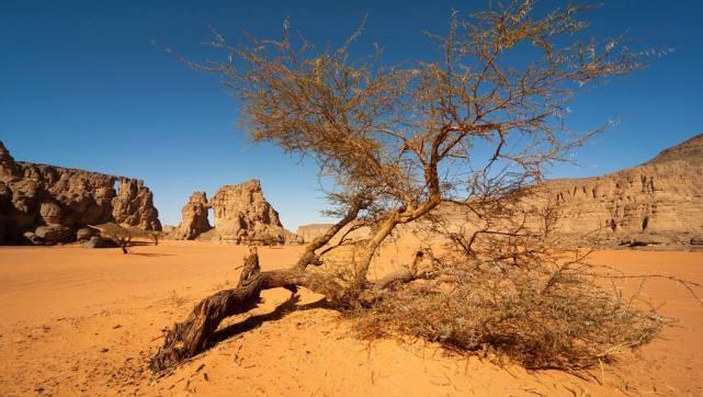 世界最大的沙漠叫什么名字（撒哈拉沙漠在哪个国家）-第4张图片