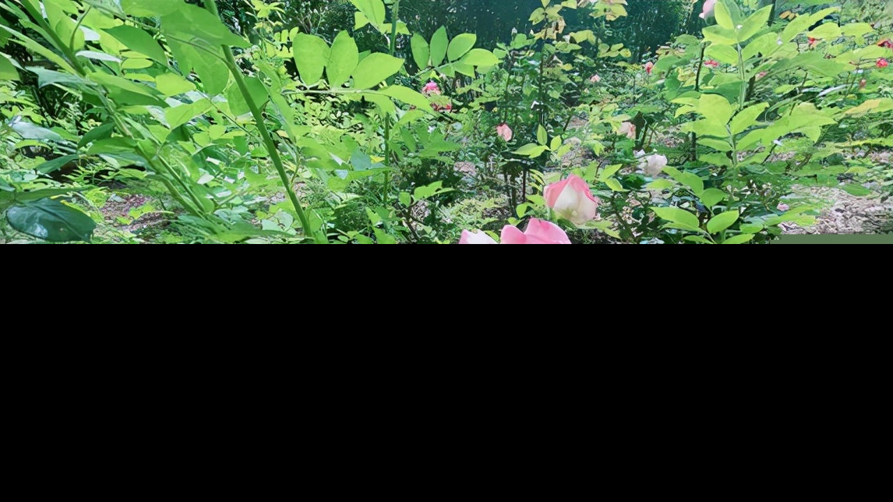 当两个人都不主动联系（男人多久不联系你算彻底放弃）-第2张图片