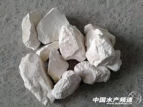 生石灰化学式（如何高效使用生石灰？）-第1张图片