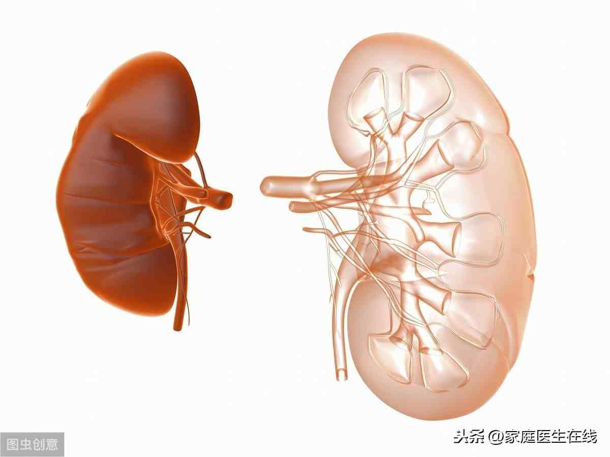 肾囊肿是怎么回事（肾囊肿是怎么引起的）-第2张图片