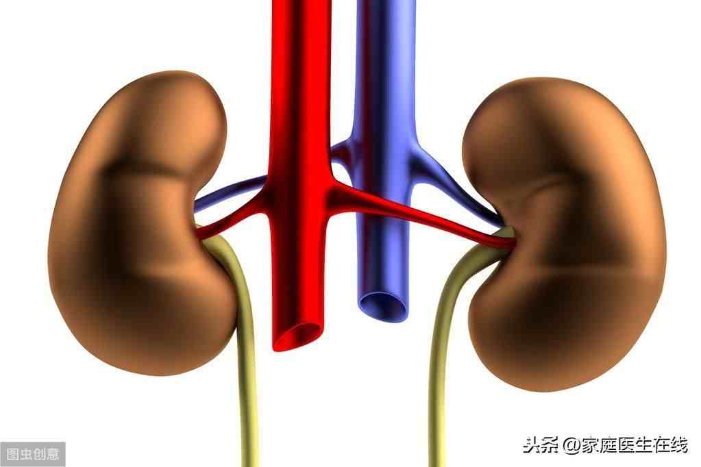 肾囊肿是怎么回事（肾囊肿是怎么引起的）-第3张图片