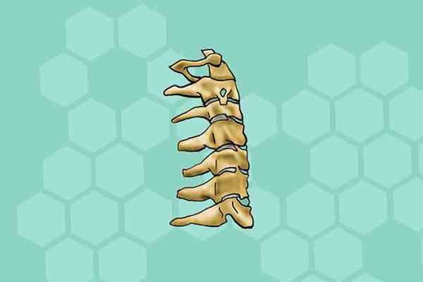 颈椎病有哪些症状（患上颈椎病要怎么缓解？）-第1张图片