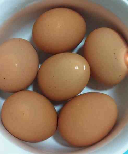 如何煮鸡蛋（水煮蛋到底该怎么煮）-第5张图片
