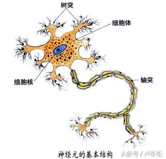 如何高效学习（如何才能高效学习）-第2张图片