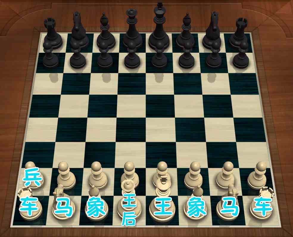 国际象棋怎么玩（国际象棋基础入门）-第2张图片