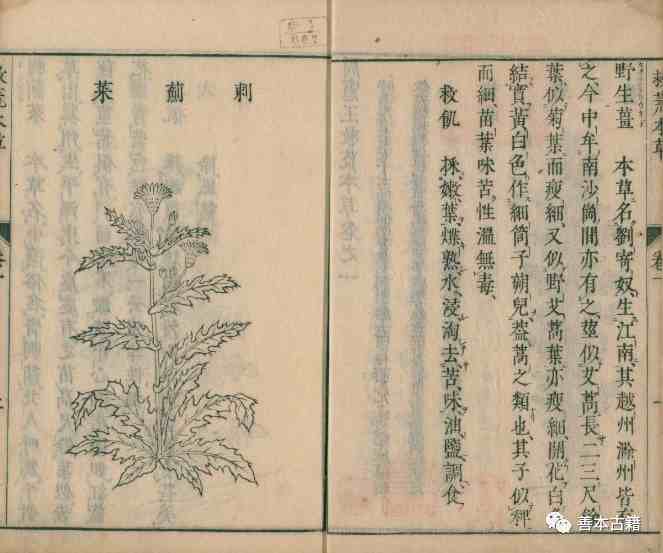 救荒本草是哪个朝代的（《救荒本草》与朱橚）-第3张图片