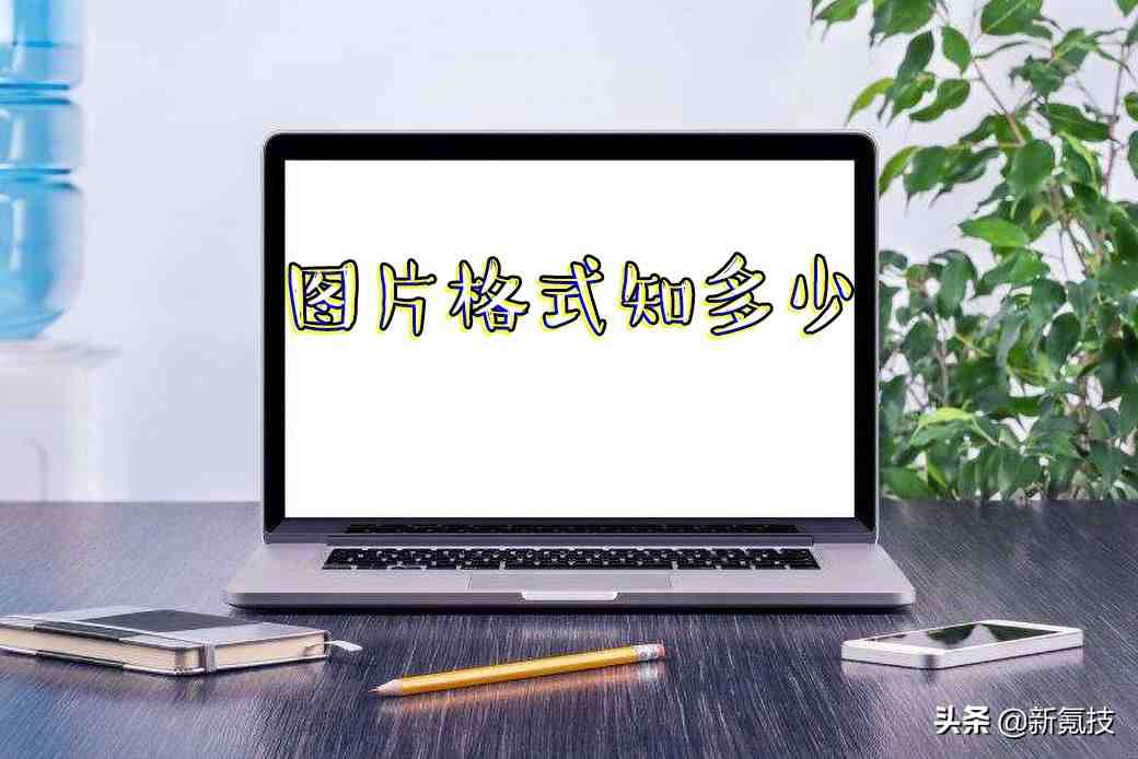 jpg是什么意思（JPG、PNG、GIF都有什么区别？）-第1张图片