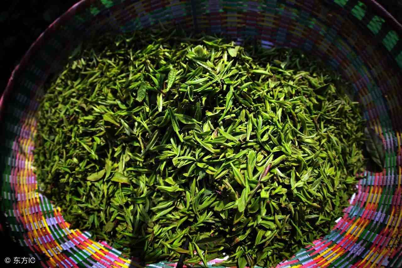 绿茶有哪些品种（绿茶的10个品种）-第5张图片