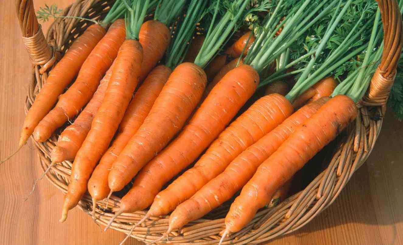 胡萝卜怎么做好吃（胡萝卜最好吃的5种家常做法）-第6张图片