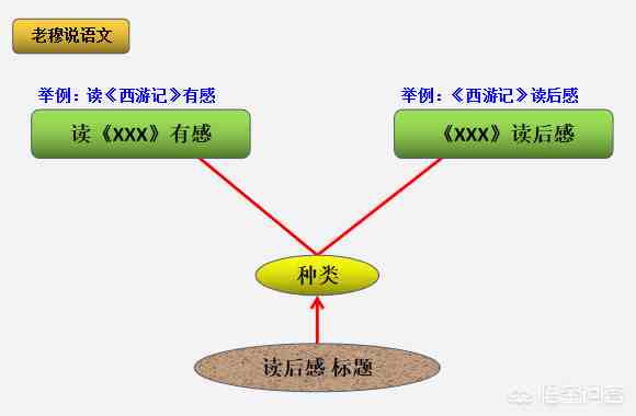 如何写读后感（如何写好读后感）-第2张图片