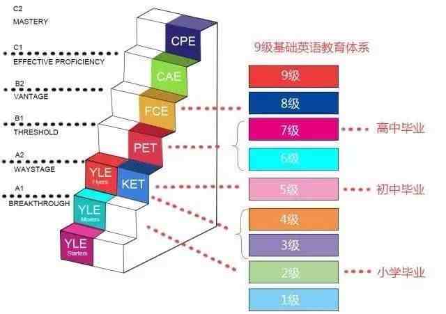 pet是什么意思（PET到底是什么？）-第1张图片