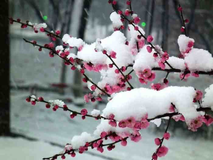 掷地有声什么意思（掷地有声的人生感悟句子）-第7张图片