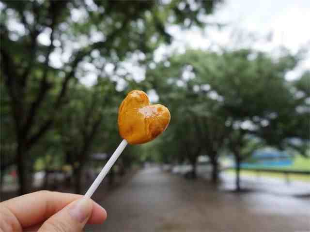 梅雨季节是什么时间（2019年梅雨季节是什么时候）-第1张图片