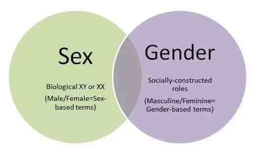 sex是什么意思（gender和sex有什么区别？）-第1张图片
