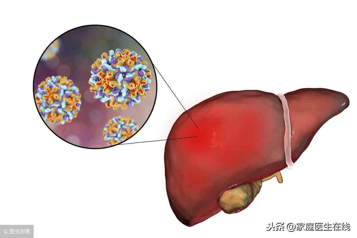 肝炎会传染吗（传染型肝炎和传染型肝病）-第1张图片