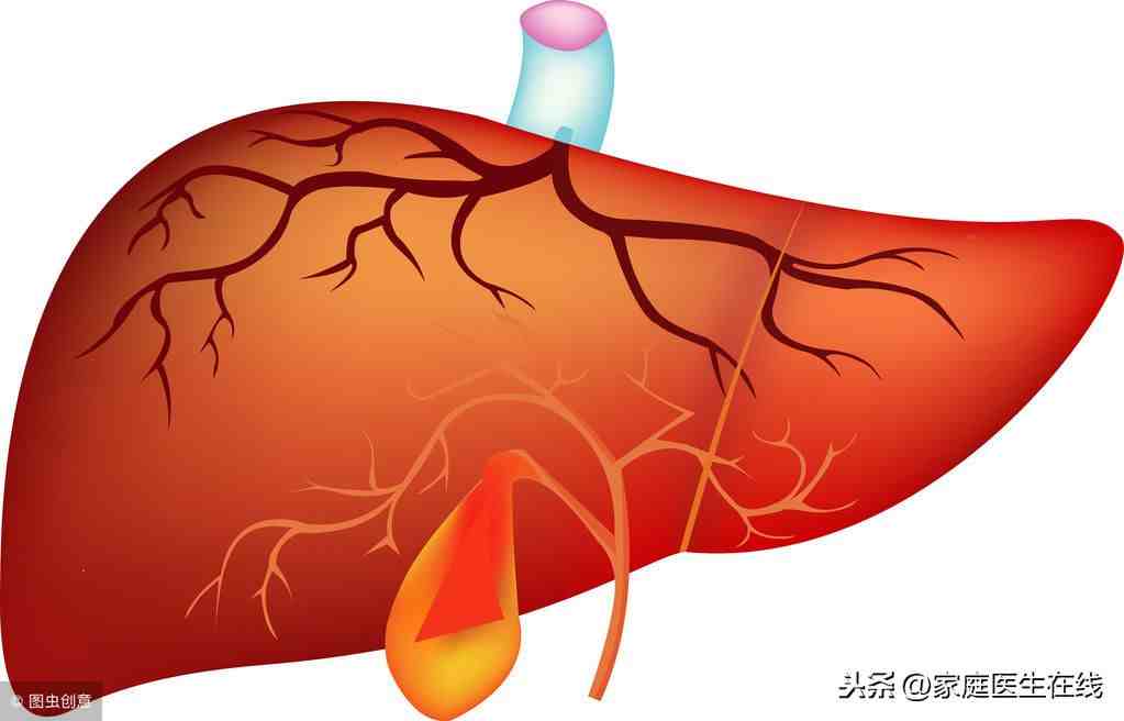 肝炎会传染吗（传染型肝炎和传染型肝病）-第3张图片