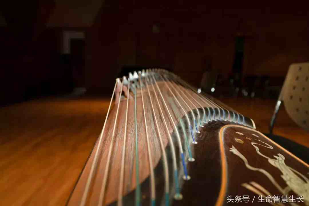 乐器有哪些（中国十大乐器都有什么）-第6张图片