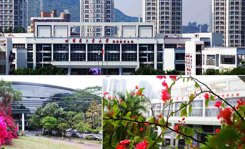 深圳有哪些大学(深圳有哪些不错的大学)-第6张图片 深圳有哪些大学(深圳有哪些不错的大学)-第6张图片