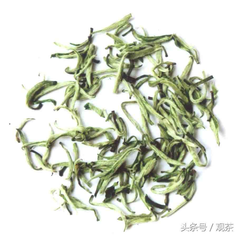 绿茶有哪些（绿茶之乡十大绿茶有哪些）-第9张图片