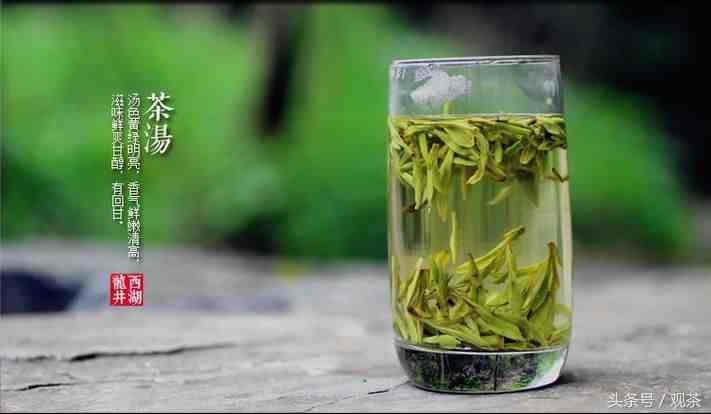 绿茶有哪些（绿茶之乡十大绿茶有哪些）-第7张图片