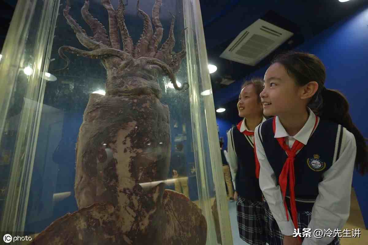 海洋生物有哪些（盘点世界10大海洋最强生物）-第10张图片
