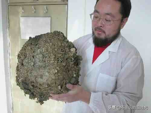 太岁是怎么形成的（太岁究竟是个什么东西）-第3张图片