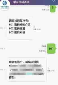 手机服务密码怎么查(手机服务密码怎么查和重置)-第6张图片 手机服务密码怎么查(手机服务密码怎么查和重置)-第6张图片