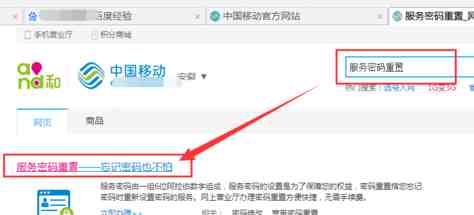 手机服务密码怎么查(手机服务密码怎么查和重置)-第2张图片 手机服务密码怎么查(手机服务密码怎么查和重置)-第2张图片