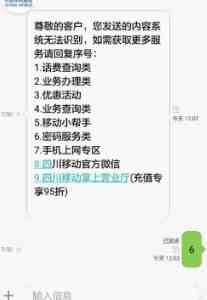 手机服务密码怎么查(手机服务密码怎么查和重置)-第5张图片 手机服务密码怎么查(手机服务密码怎么查和重置)-第5张图片