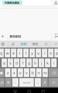 手机服务密码怎么查(手机服务密码怎么查和重置)-第4张图片 手机服务密码怎么查(手机服务密码怎么查和重置)-第4张图片