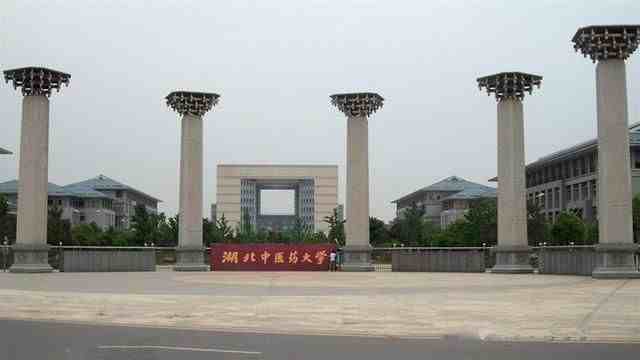武汉的大学有哪些（湖北武汉所有大学排行榜）-第15张图片
