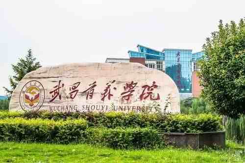 武汉的大学有哪些（湖北武汉所有大学排行榜）-第27张图片