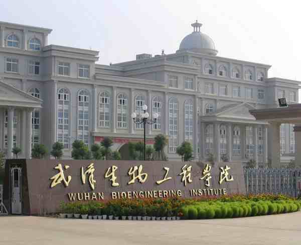 武汉的大学有哪些（湖北武汉所有大学排行榜）-第29张图片