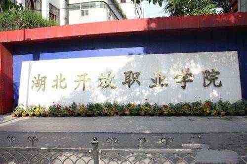 武汉的大学有哪些（湖北武汉所有大学排行榜）-第41张图片