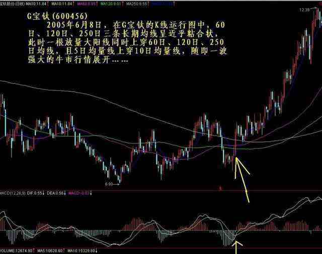 1万炒股一年最多挣多少（两万炒股三天赚10万）-第8张图片