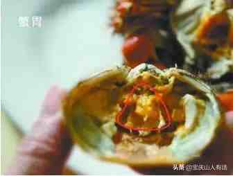 如何吃螃蟹（吃货教你如何吃蟹）-第7张图片